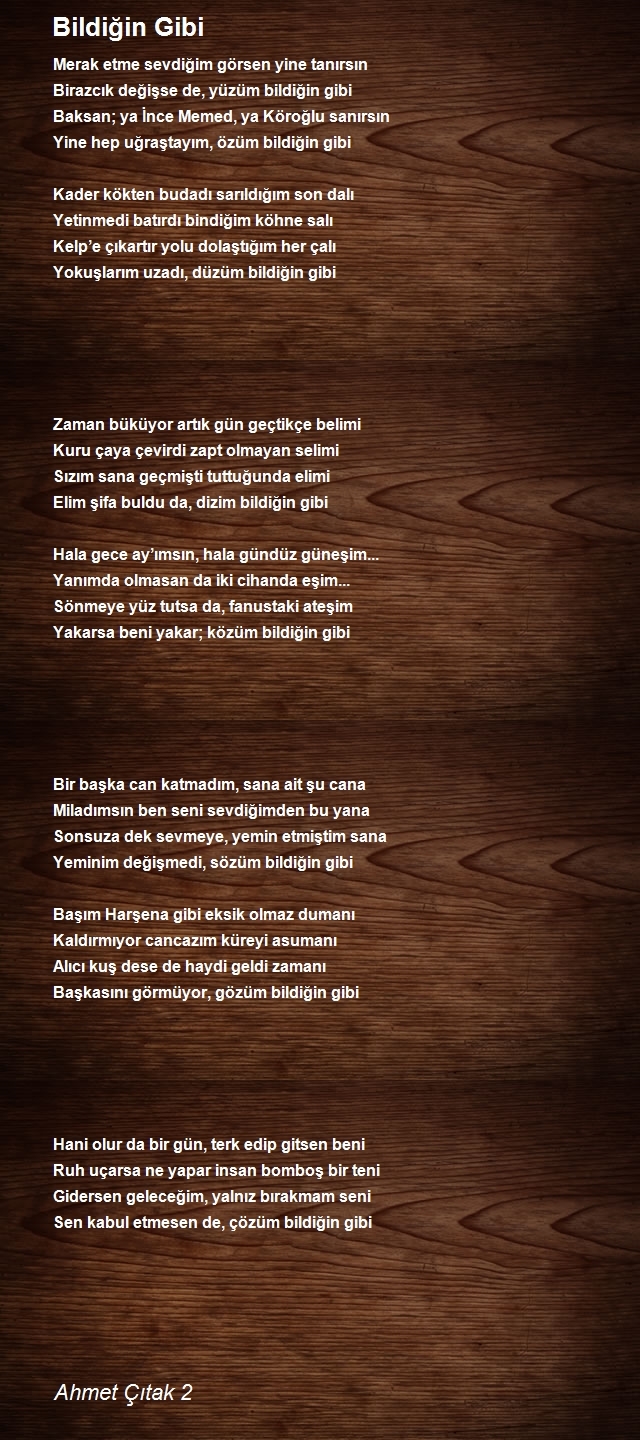 Ahmet Çıtak 2