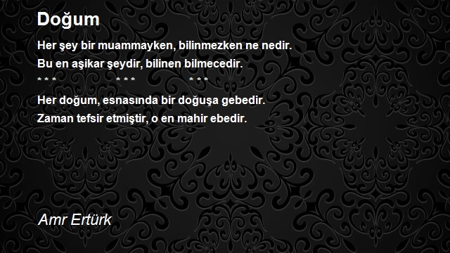 Amr Ertürk