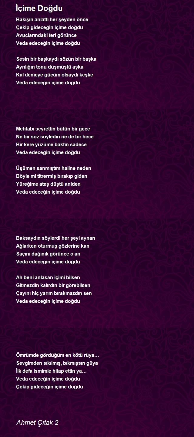 Ahmet Çıtak 2