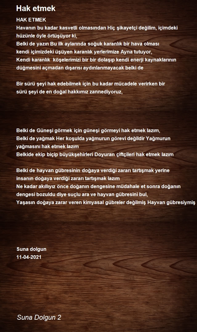 Suna Dolgun 2