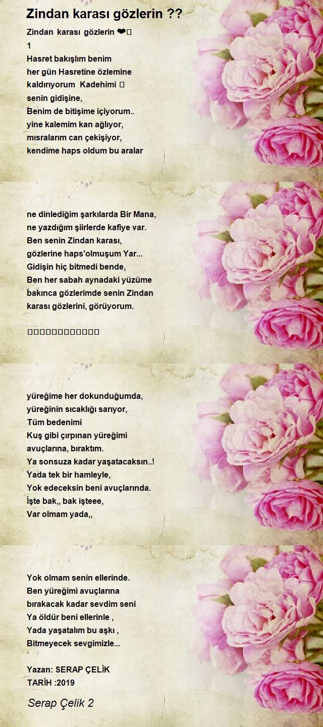 Serap Çelik 2