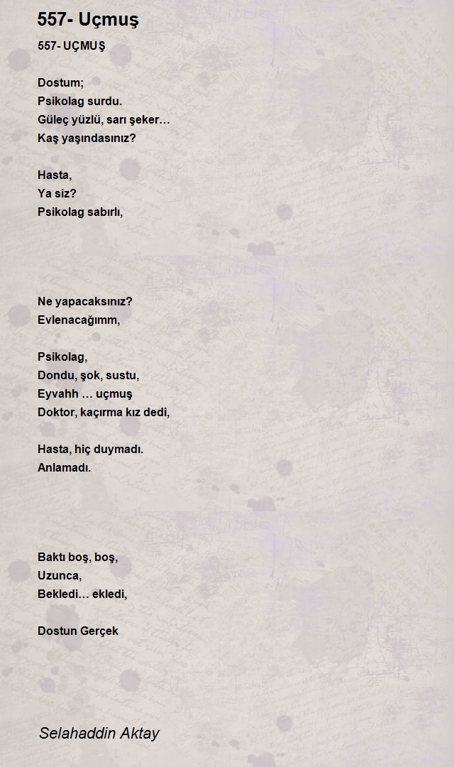 Selahaddin Aktay