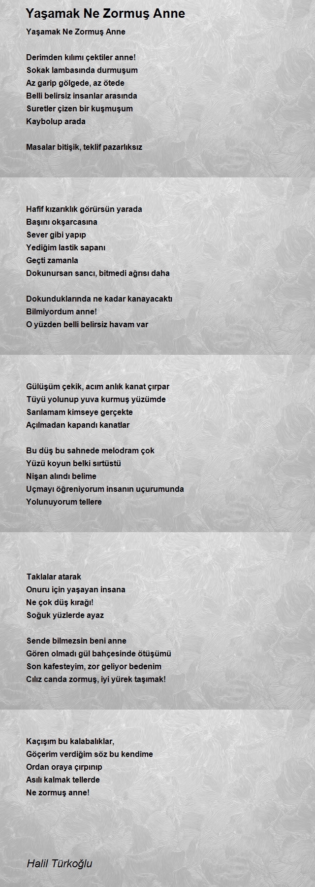 Halil Türkoğlu