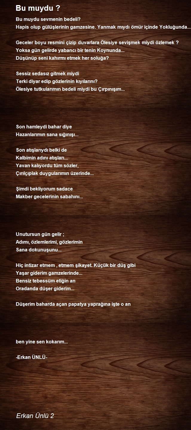 Erkan Ünlü 2