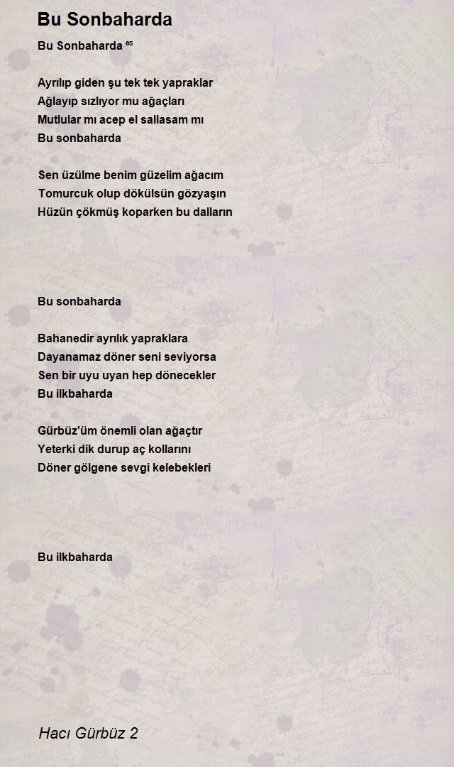 Hacı Gürbüz 2
