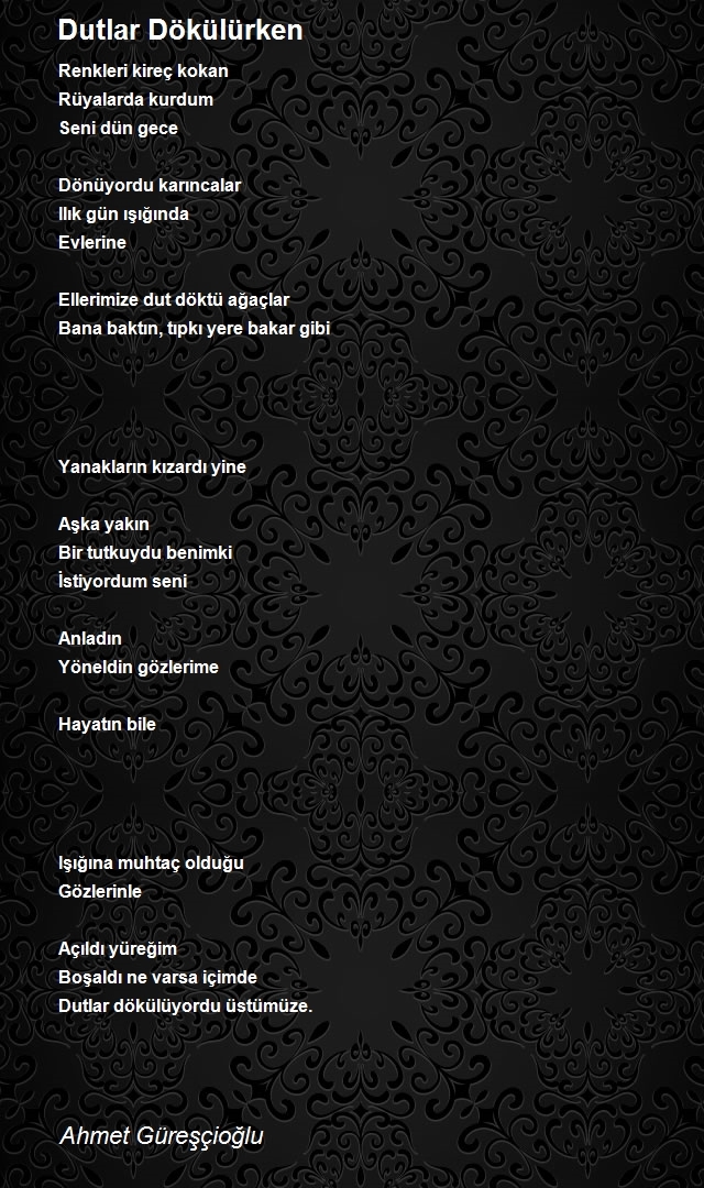 Ahmet Güreşçioğlu