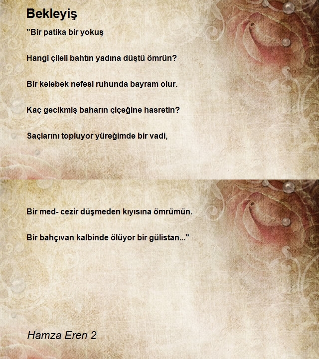 Hamza Eren 2