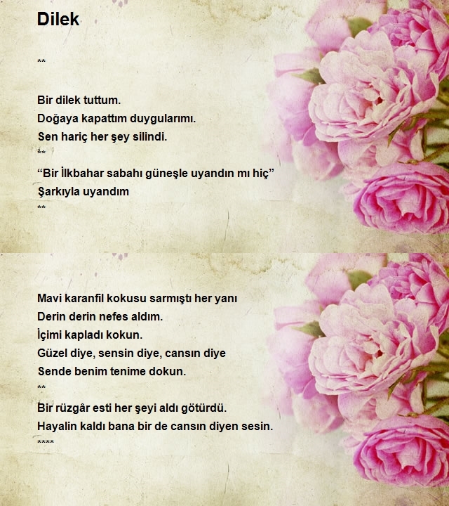 Abidin Güneyli