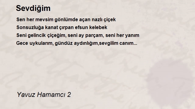Yavuz Hamamcı 2