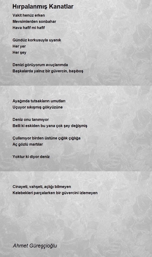 Ahmet Güreşçioğlu