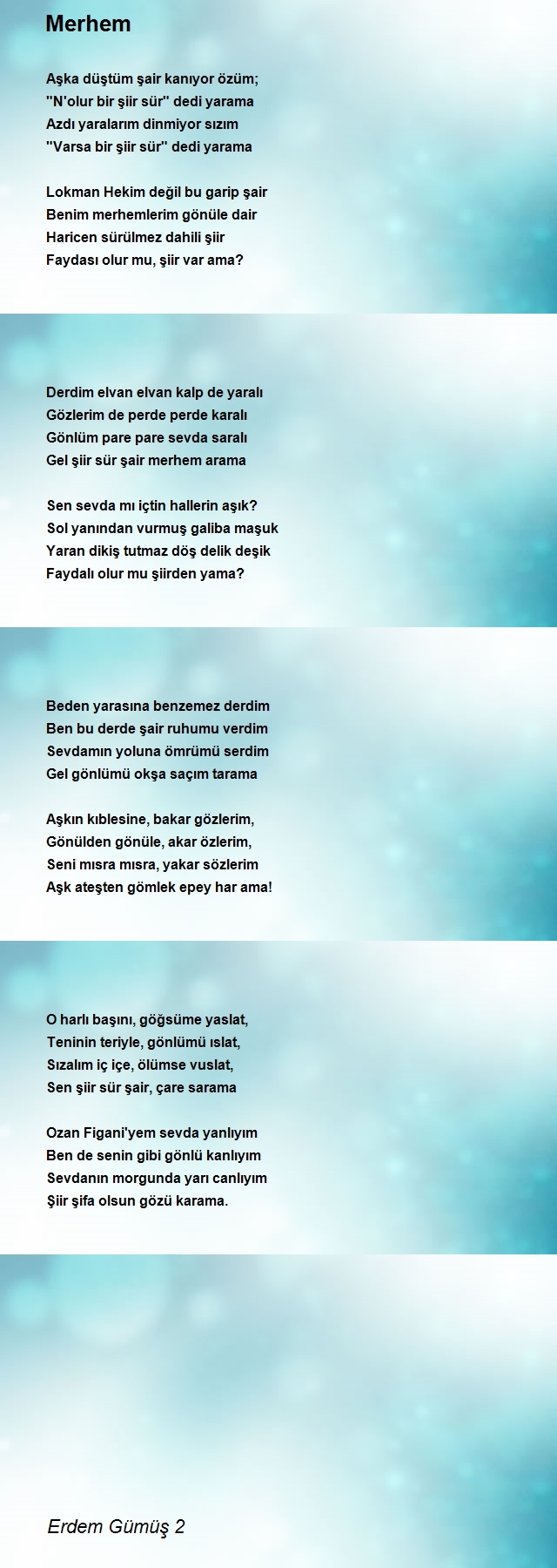 Erdem Gümüş 2