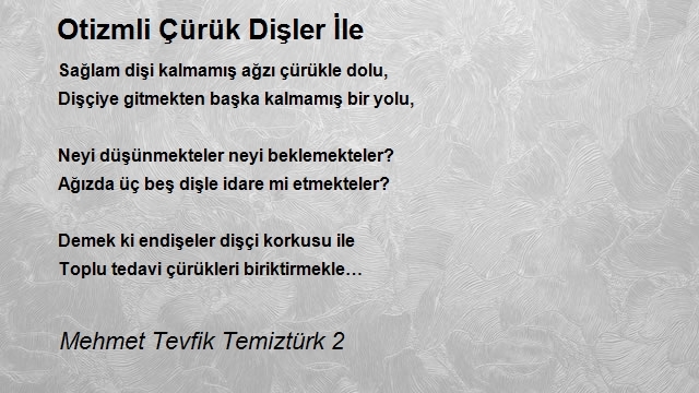 Mehmet Tevfik Temiztürk 2