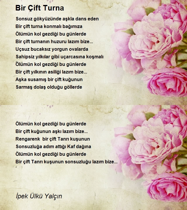 İpek Ülkü Yalçın