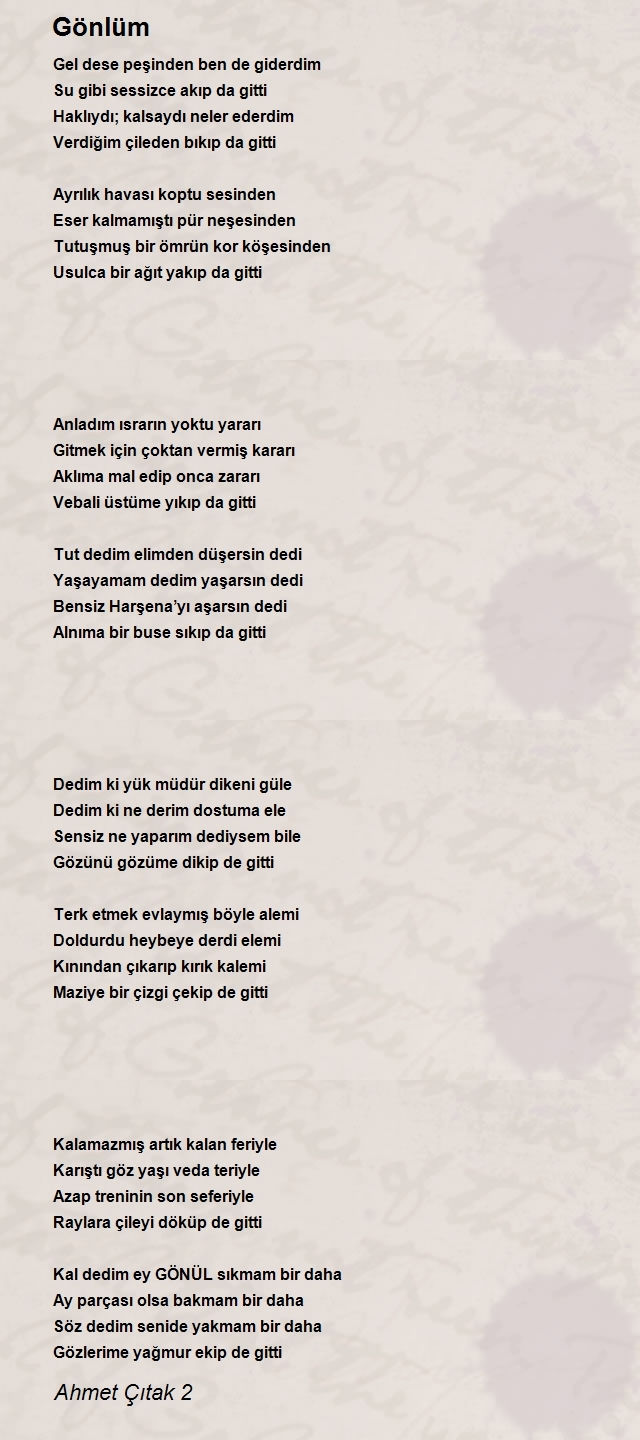 Ahmet Çıtak 2