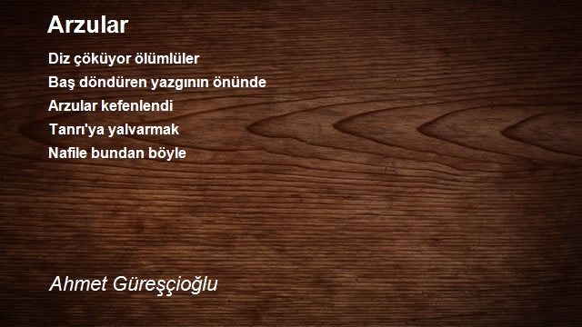 Ahmet Güreşçioğlu