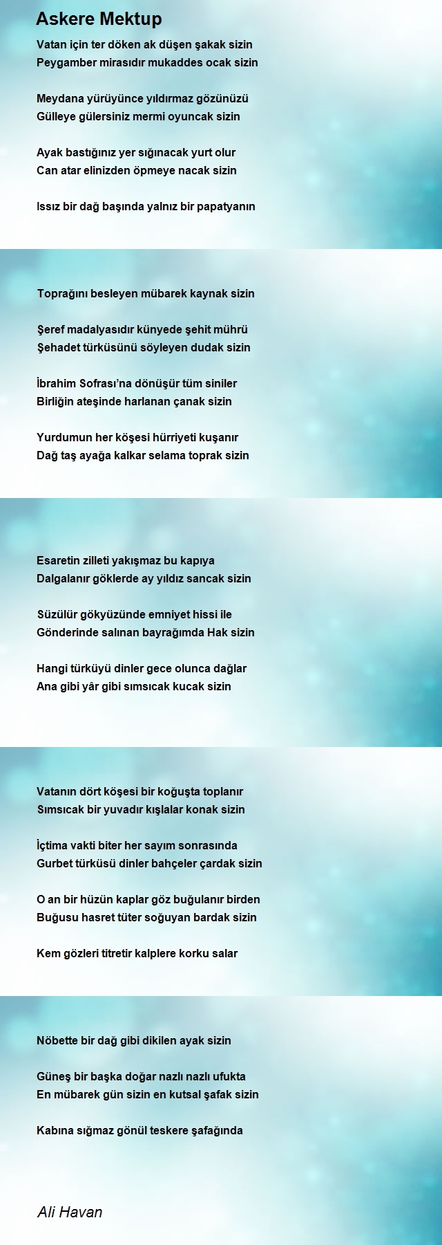 Ali Havan