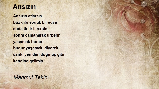 Mahmut Tekin