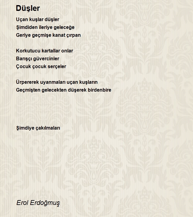 Erol Erdogmus 2