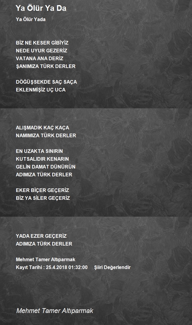 Mehmet Tamer Altıparmak