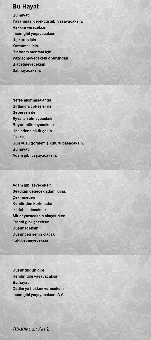 Abdülkadir Arı 2