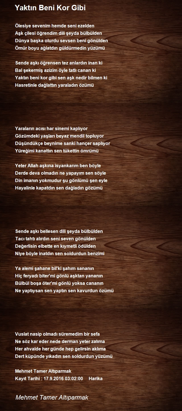 Mehmet Tamer Altıparmak
