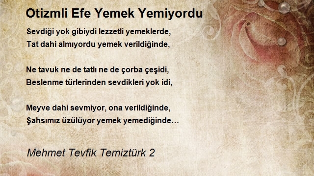 Mehmet Tevfik Temiztürk 2