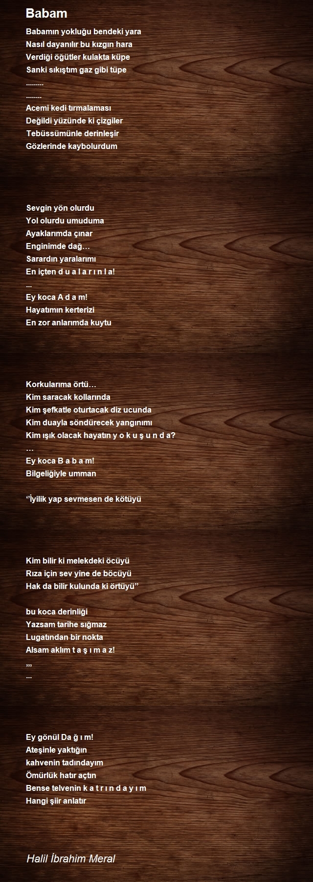 Halil İbrahim Meral