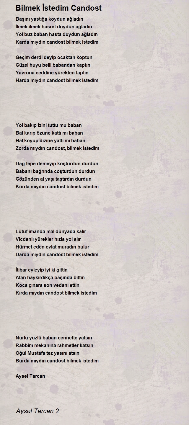 Aysel Tarcan 2
