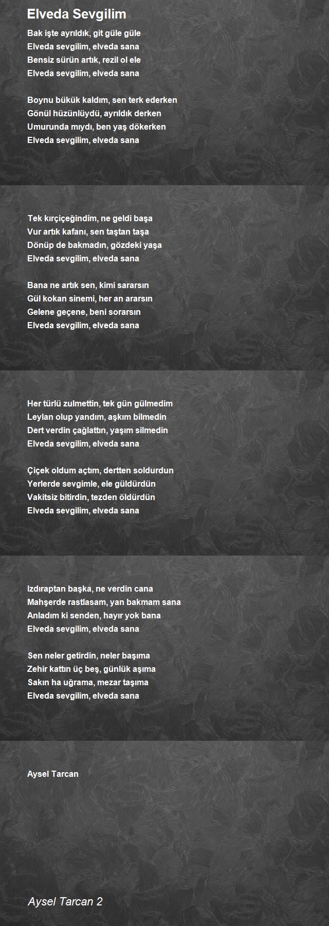 Aysel Tarcan 2