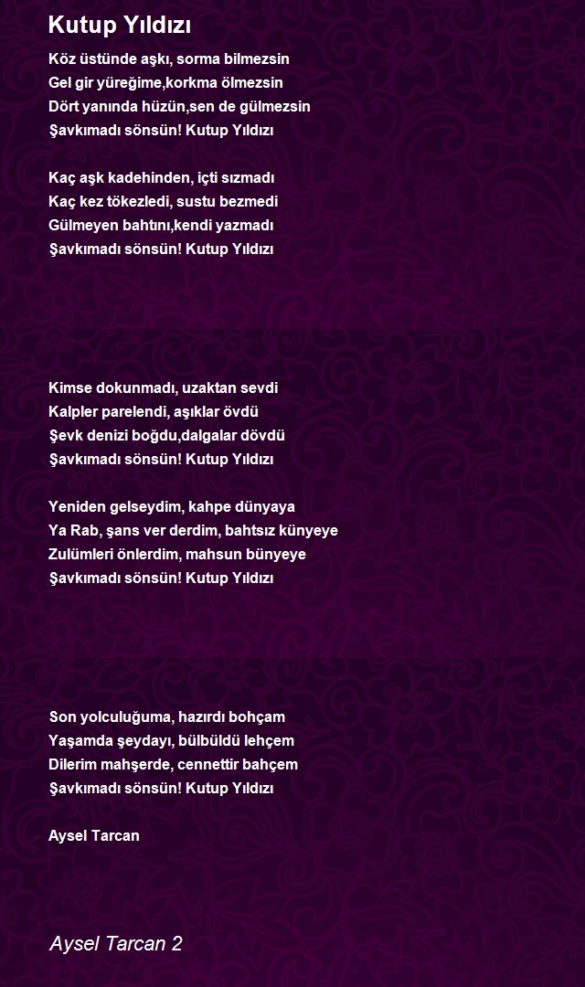 Aysel Tarcan 2