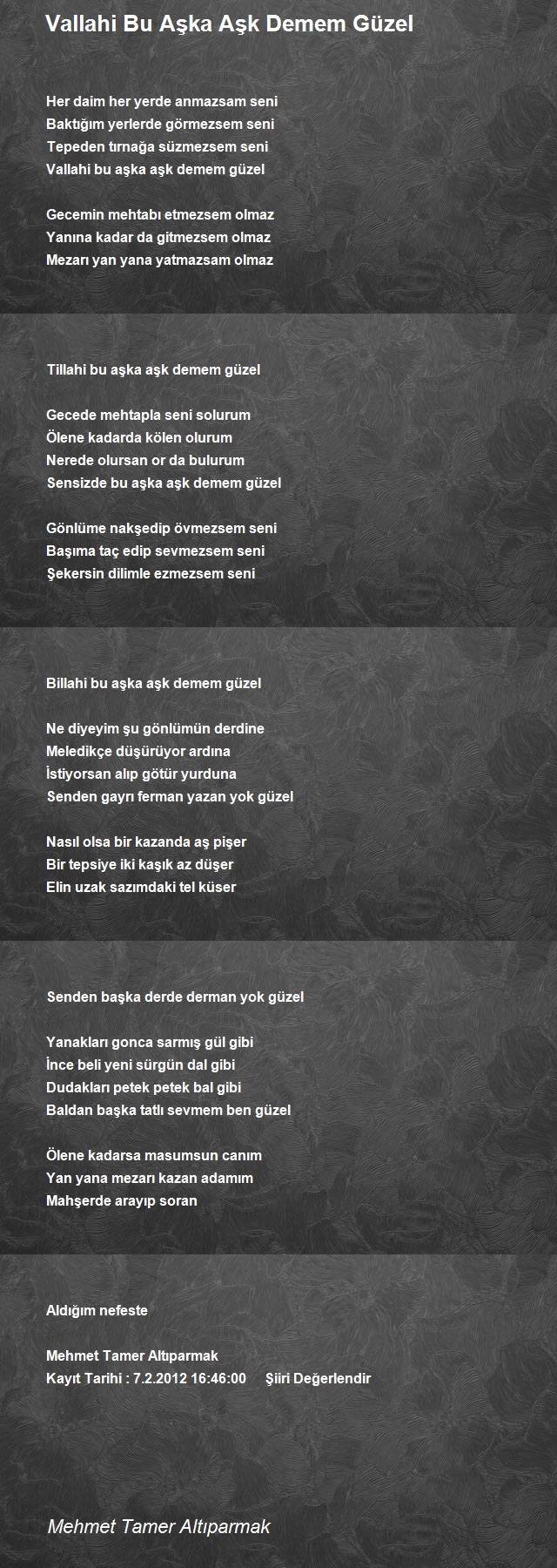 Mehmet Tamer Altıparmak