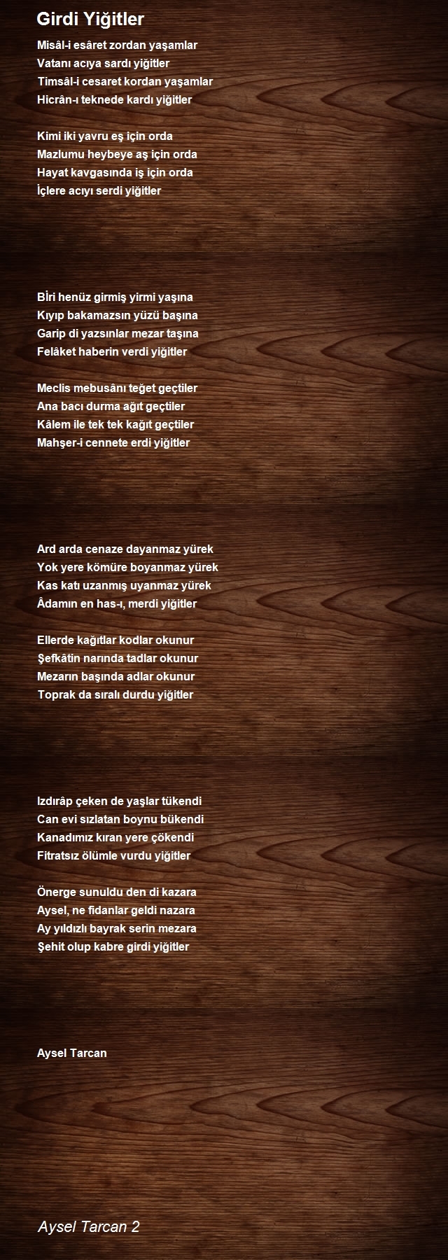 Aysel Tarcan 2
