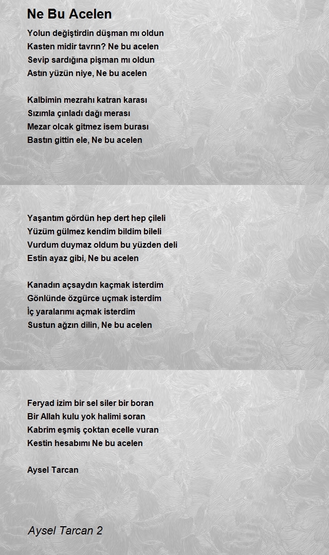 Aysel Tarcan 2