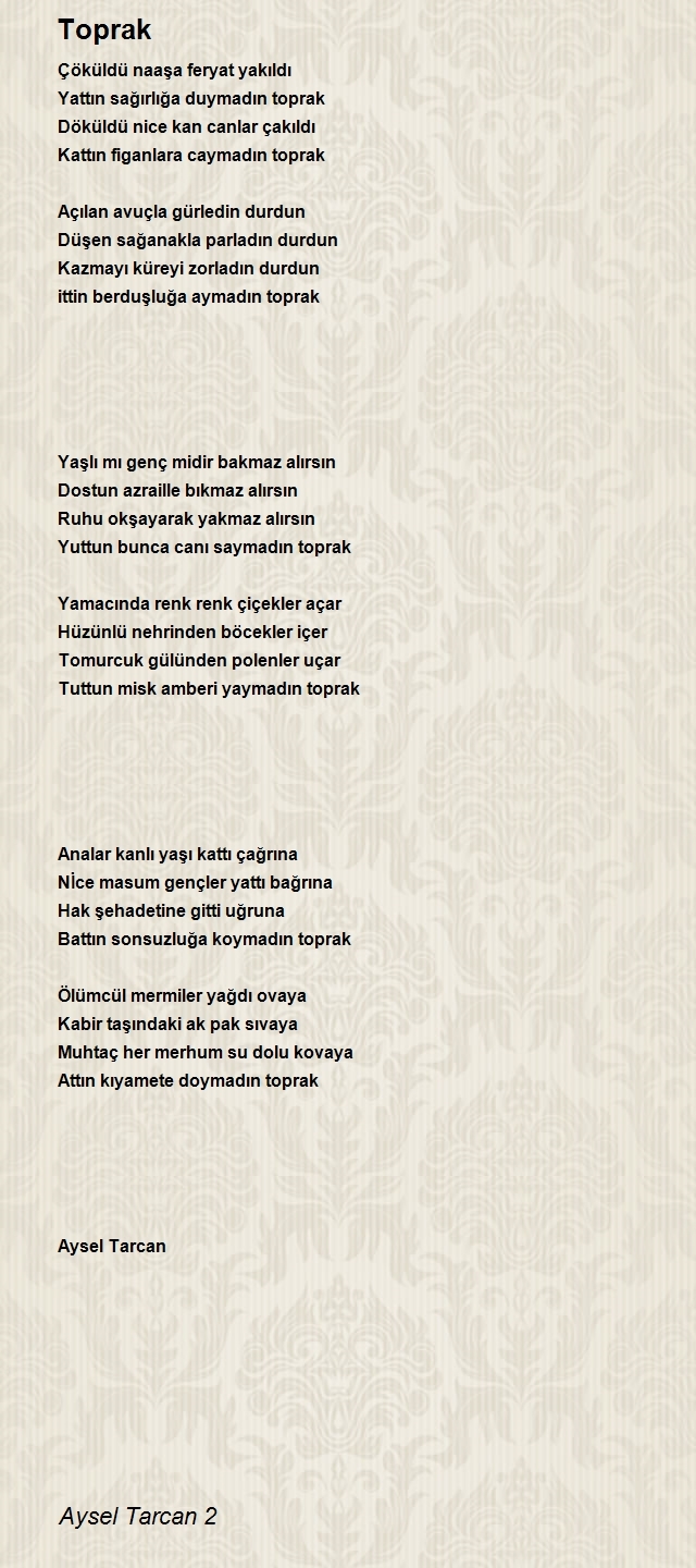 Aysel Tarcan 2