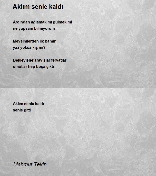 Mahmut Tekin