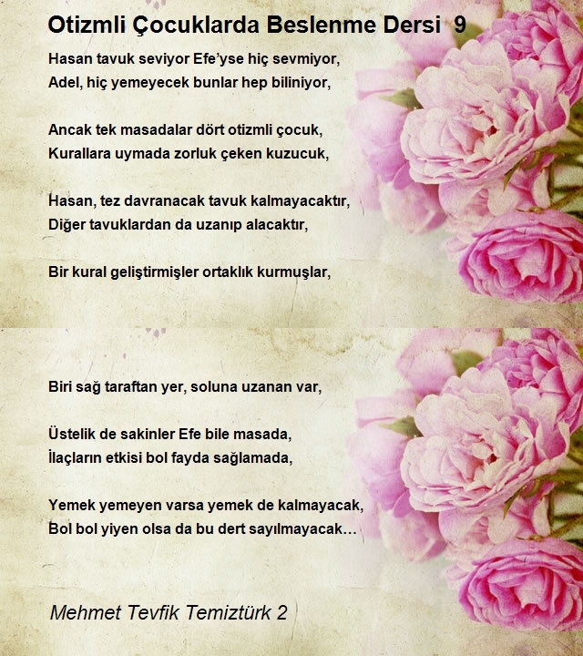 Mehmet Tevfik Temiztürk 2