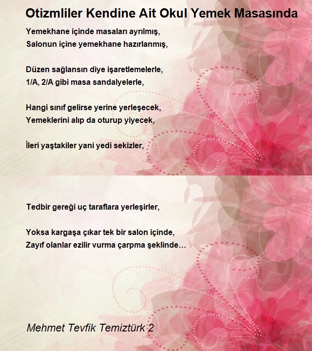 Mehmet Tevfik Temiztürk 2