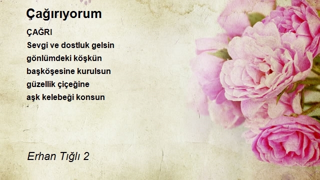 Erhan Tığlı 2