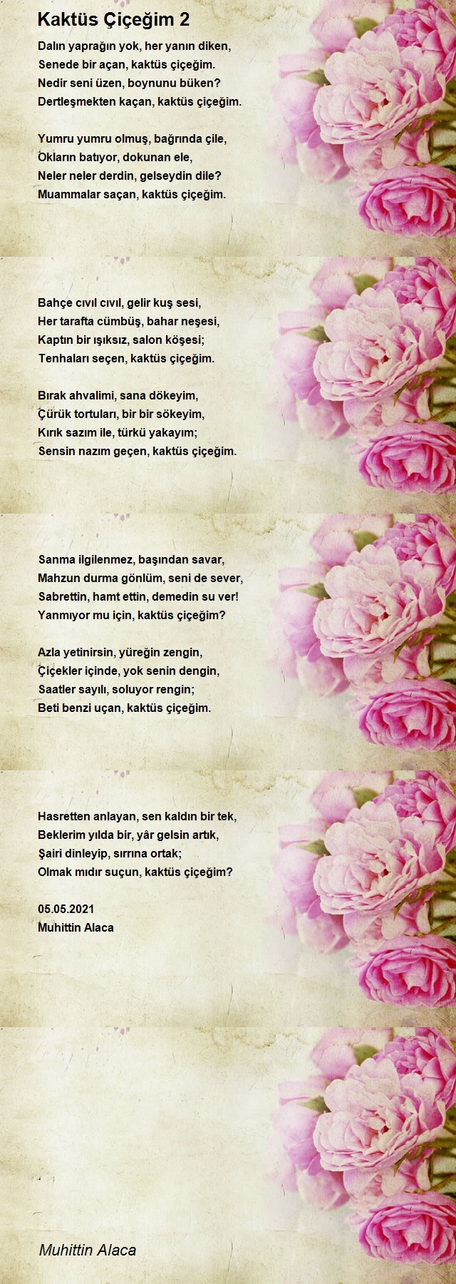 Muhittin Alaca