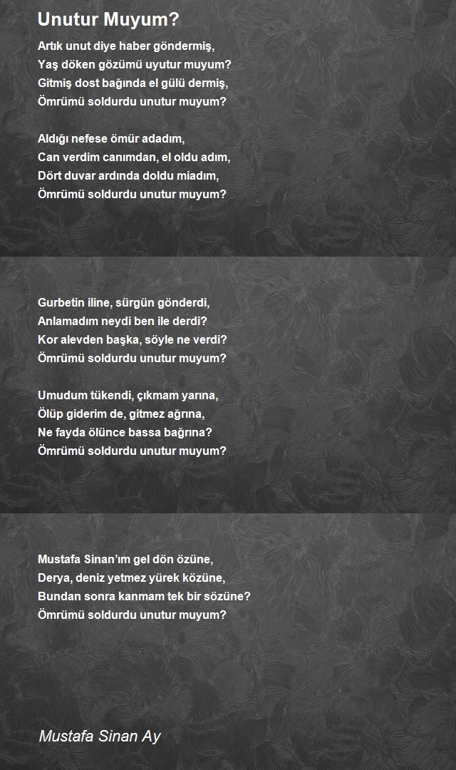 Mustafa Sinan Ay