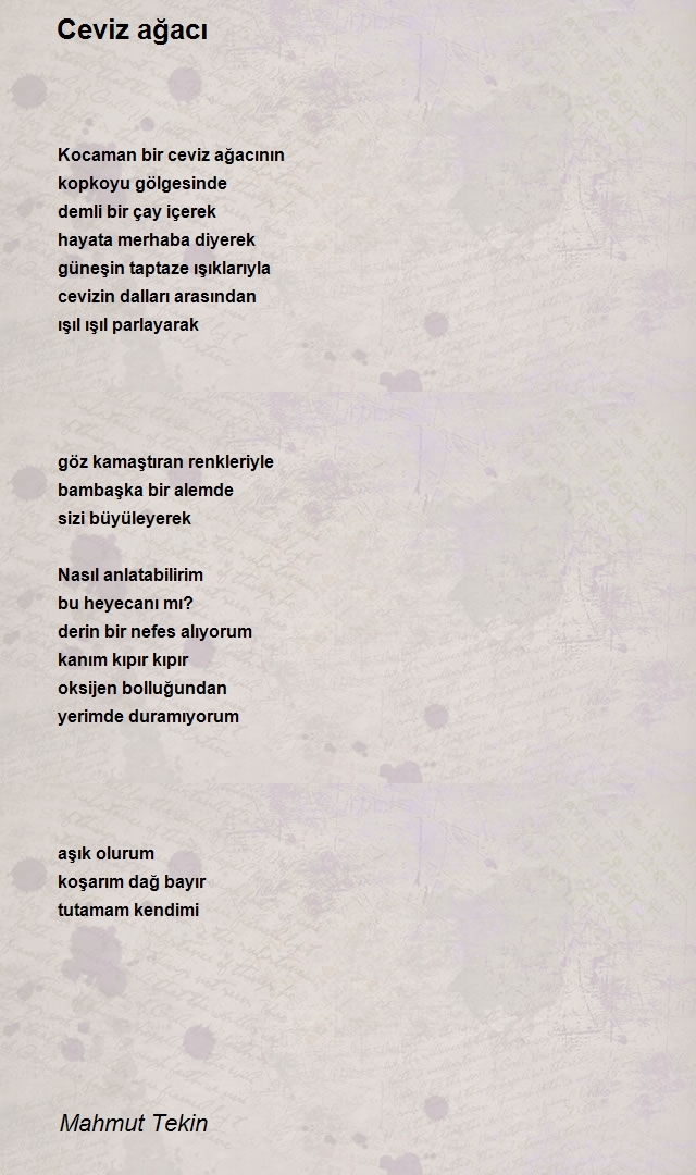 Mahmut Tekin
