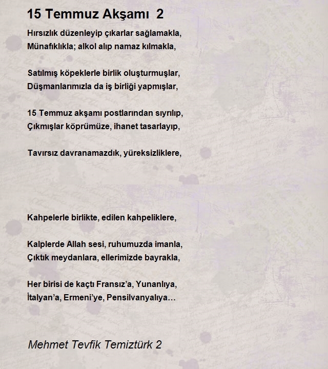 Mehmet Tevfik Temiztürk 2