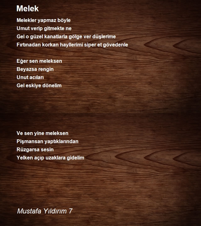 Mustafa Yıldırım 7