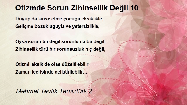 Mehmet Tevfik Temiztürk 2