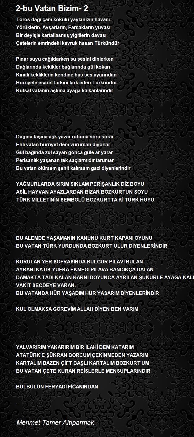 Mehmet Tamer Altıparmak
