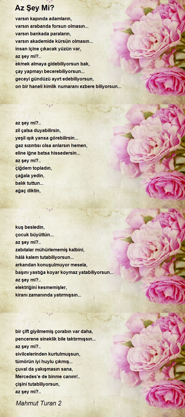 Mahmut Turan 2