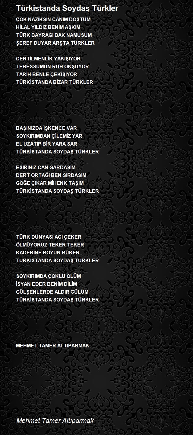 Mehmet Tamer Altıparmak