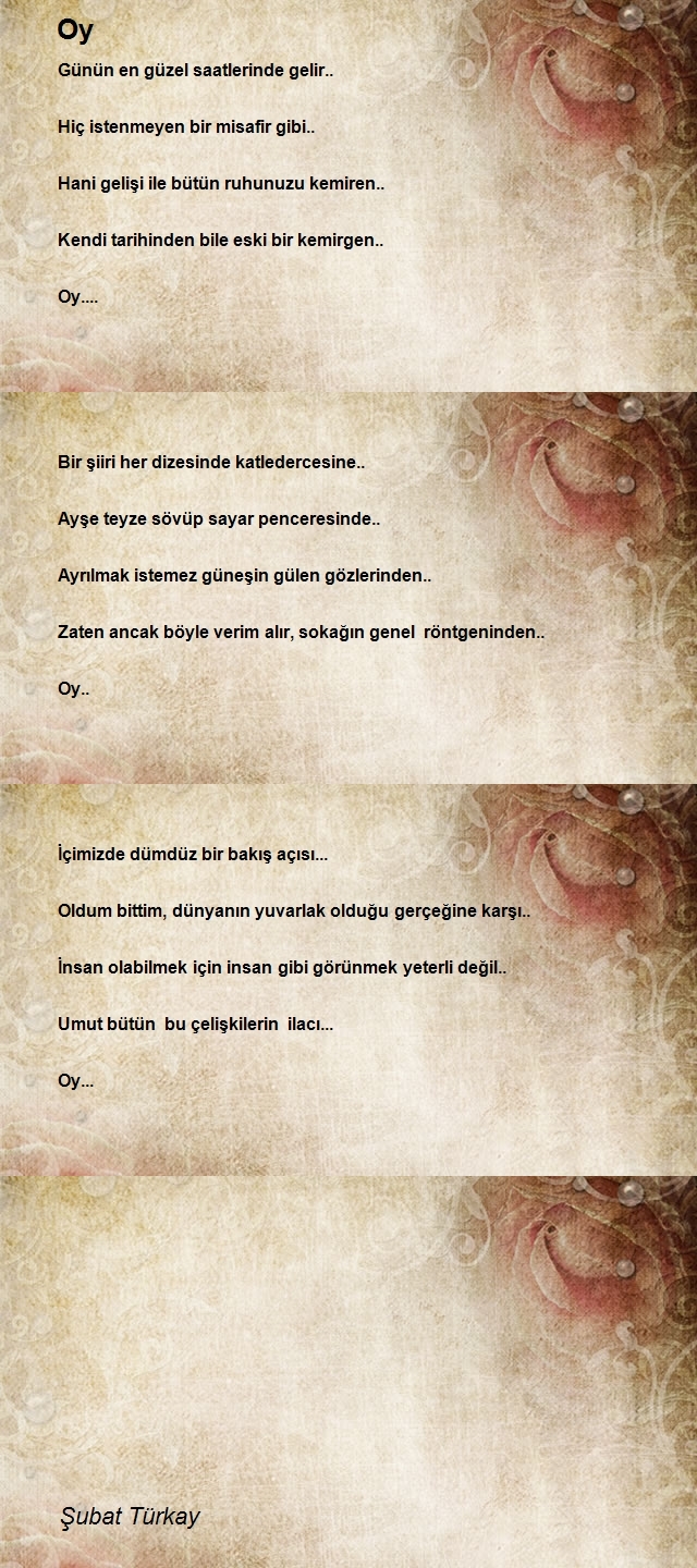 Şubat Türkay