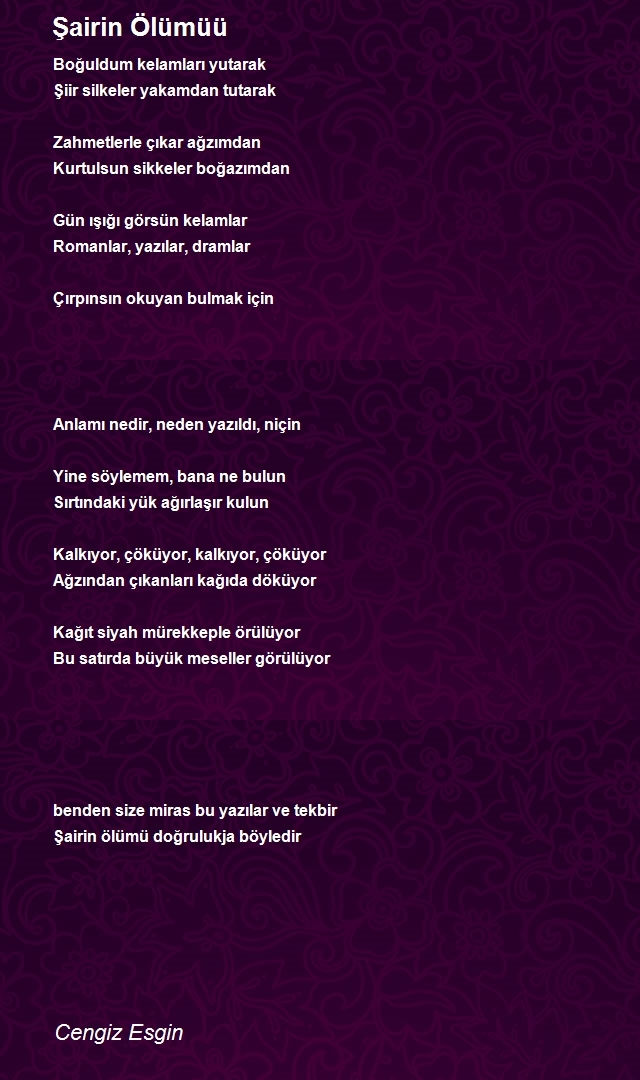 Cengiz Esgin
