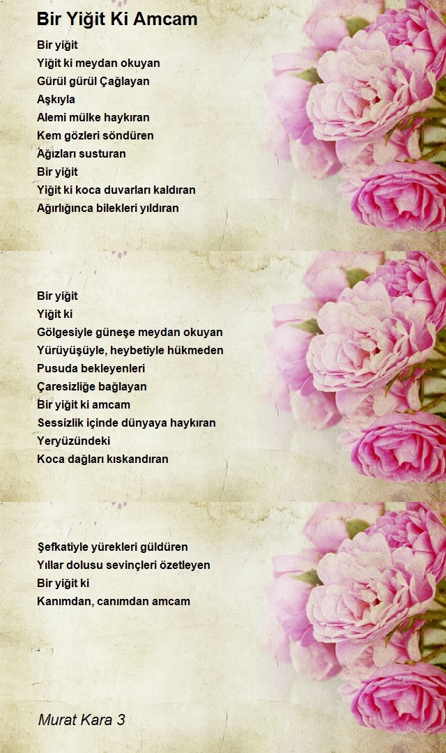 Murat Kara 3